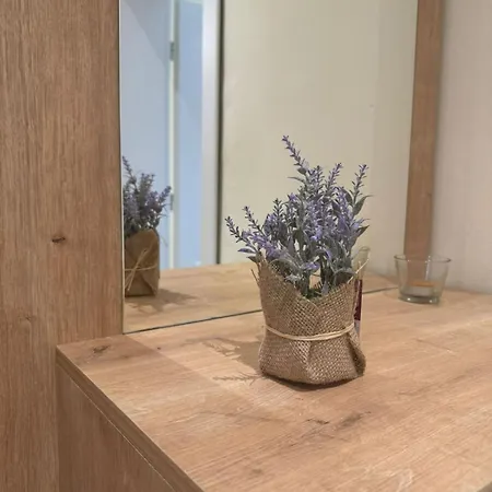 公寓 With Balcony 地拉那